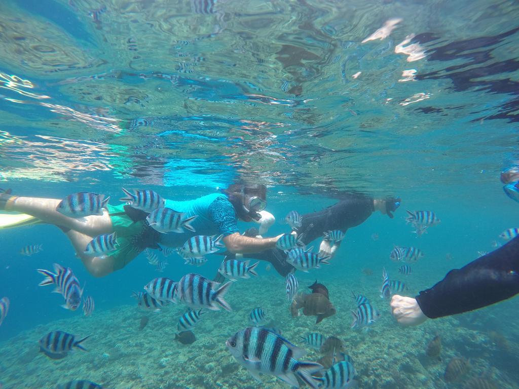 Tropical Surf House Okinawa Hotel Onna Exterior foto